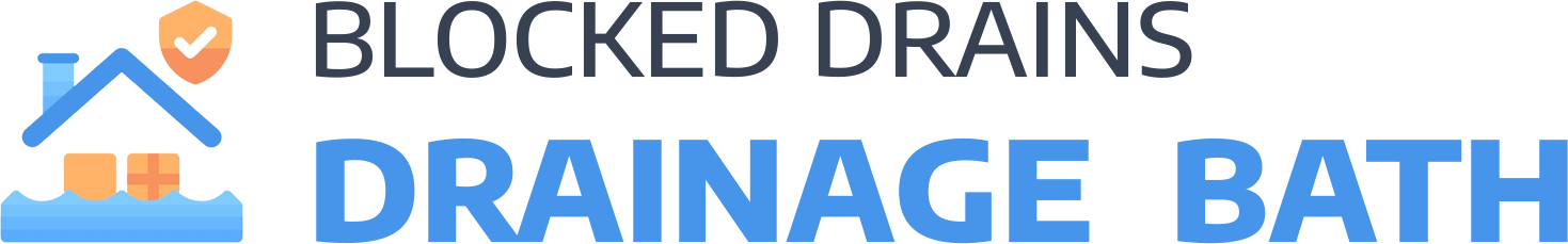 website logo